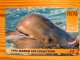 Prepaid Phonecard United Kingdom, International Phonecard - Marine Life, Dolphin - Emissions Entreprises