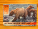 Prepaid Phonecard United Kingdom, International Phonecard - Marine Life, Bear - Emissions Entreprises