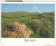 IRLANDA - POSTCARD, COLOR, USED, 1990, - Cork