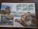 NICE LETTER FAROYOR     / BIG COVER / STAMPBOOKLET         ** BRIEF 127** - Färöer Inseln