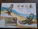 NICE LETTER PORTUGAL   / BIG COVER / STAMPBOOKLET         ** BRIEF 107** - Cuadernillos