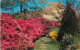 USA Edison NJ Azaleas Garden View - Edison