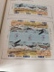 Delcampe - Israel 1993 - 2007 MNH Complete With Extras - Collections (en Albums)