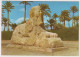 AK 198156 EGYPT - Giza - The Sphinx Of Sakkara - Gizeh