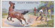 43 Horse Breaking  - Australia O/S Dominions 1915 -  Wills Cigarette Card -   - Antique - 3x7cms - Wills