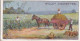 24 Gathering Pine Apples, Queensland  - Australia O/S Dominions 1915 -  Wills Cigarette Card -   - Antique - 3x7cms - Wills