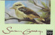 Australien 1993  Mi.Nr. 1365 , Kookaburra - Gestempelt / Fine Used / (o) - On Paper - Gebraucht