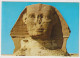 AK 198195 EGYPT - Giza - The Head Of The Famous Sphinx - Sphinx