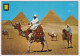 AK 198198  EGYPT - Giza - Kheops, Kephren And Mycerinos Pyramids - Pyramides
