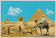 AK 198209  EGYPT - Giza - The  Sphinx And The Pyramids Of Kephren And Mykerinos - Pirámides