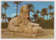 AK 198220 EGYPT - Giza - The Sphinx Of Sakkara - Gizeh