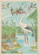 Russia - USSR - Georgia - Tbilisi - QSL - Goose - Illustrateur Bazhenov - Other & Unclassified