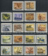 China Stamp 1955 S13 Strive For Fulfilment Of 1st Five-year Plan MNH Stamps - Nuevos