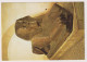 AK 198295 EGYPT / FRANCE - Musée Du Louvre - Grand Sphinx D'Amenemhat II - Musea