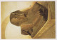 AK 198295 EGYPT / FRANCE - Musée Du Louvre - Grand Sphinx D'Amenemhat II - Musei