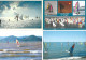 Lot De 7 Cartes Postales: Planches à Voile - Sailing