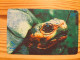 Phonecard Brazil, Telesc - Turtle - Brasile