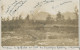 AMERIQUE - NEW YORK - CPA Photo - Troupeau De BUFFALOS Au Pied Des Montagnes Rocheuses HORTH AMERICA - Buffalo