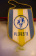 PLOIESTI Fanion Sportiv Steag Sport Flag Pennant USA - Leichtathletik