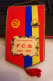 A 60 A ANIVERSARE A P.C.R. 1921-1981 Romania Fanion Steag Flag Pennant Partidul Comunist Roman Ceausescu PCR - Andere & Zonder Classificatie