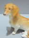 Delcampe - -ANCIENNE STATUETTE CHIEN TECKEL En PORCELAINE AUSTRIA WIEN COLLECTION VITRINE   E - Altri & Non Classificati