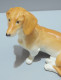 Delcampe - -ANCIENNE STATUETTE CHIEN TECKEL En PORCELAINE AUSTRIA WIEN COLLECTION VITRINE   E - Otros & Sin Clasificación