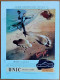 Delcampe - France Illustration N°74 01/03/1947 Royal Tour/Le Languedoc/Libération De Paris Vu Par Les écoliers.../Syrie/Chamonix - Allgemeine Literatur