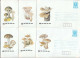 PS 1407/1990 - Mint, Mushrooms, Complete Of 12 Covers, Post. Stationery - Bulgaria (2 Scan) - Buste