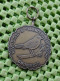 Medaille - W.V. D.O.S Krentenbloesentocht Dwingeloo 28-4-84 -  Original Foto  !! - Other & Unclassified