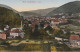 AK Bad Lauterberg - Total - Ca. 1910 (67115) - Bad Lauterberg