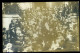 Lot De 2 Cpa Carte Photo Du 60 Précy Sur Oise -- Sortie De L' église , Communion    STEP16 - Précy-sur-Oise