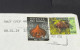 Delcampe - 28-1-2024 (2 X 34) 2 Covers Posted From New Zealand To Australia (2024) 1 With Dinosaur Stamp + 1 With KIWI Stamp - Briefe U. Dokumente