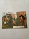 CARTOLINE:  LA CHASSE, BIEN DE CHEZ NOUS! - NON VIAGGIATA - F/G - B/N - LEGGI - Collections & Lots