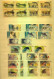 CUBA MNH Sellection Of Stamps. PERFECT To Start Collect Country Some Items Are X 10 - Collections (sans Albums)