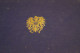Osterreich,très Bel Album Complet,40 T. Pour Collection,original Timbres Neuf Avec Gomme Et Sans Charnière - Verzamelingen