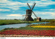 CPM Holland Land Of Flowers And Windmill Moulin A Vent - Erythrée