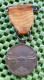 Medaille - 1938 Oranje Boven , Paleis Soesdijk -  Original Foto  !! Palace Birth Medallion Dutch Royalty 1938 - Monarquía/ Nobleza