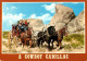 > Chevaux    COWBOY  CADILLAC  /// 23 - Cavalli