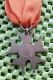 Medaille -  Avond Vierdaagse , Brons Met Kroontje -  Original Foto  !!   Medallion Dutch - Other & Unclassified