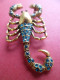 Broche Strass Vert Animal Scorpion - Brooches