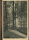 41302106 Nossen Klosterpark Altzella Betsaeule Aus 13. Jahrhundert Nossen - Nossen