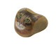 SOMALI CAT Hand Painted On A Beach Rock Paperweight - Presse-papiers