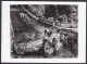 Walter Gotschke Werkphoto 13 X 18 Cm Mercedes Benz Race Nürnburgring 1939 Formula 1 (see Sales Conditions) - Automovilismo - F1