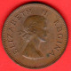 Sud Africa - South Africa - Suid Afrika - 1955 - 1/2 Penny - SPL/XF - Come Da Foto - South Africa