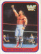 111/150 BRITISH BULLDOG - WRESTLING WF 1991 MERLIN TRADING CARD - Trading Cards