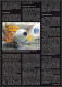 Delcampe - 2698X Espace (space) Lettre (cover) Usa Timbre Argent Silver Space View Station Titusville 16/1/2003 3$20 Sts 107 - Estados Unidos