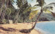 Venezuela - Playa Caribe Old Postcard 1962 - Venezuela