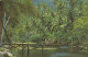 Venezuela - Bahia De Cata Old Postcard 1965 - Venezuela