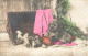 ANIMAUX & FAUNE - Chiots - Carte Postale Ancienne - Dogs