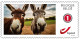 DUOSTAMP** / MYSTAMP** - Animaux De La Ferme / Dieren Op De Boerderij / Nutztiere / Farm Animals - SPECIAL EDITION - Rabbits